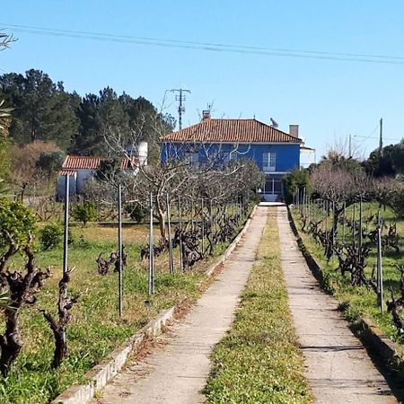 Casa Azul Tomar Prive Vakantiehuis エクステリア 写真