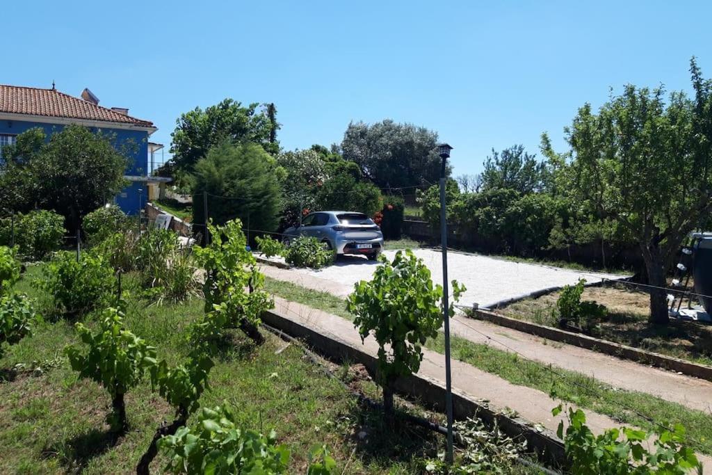 Casa Azul Tomar Prive Vakantiehuis エクステリア 写真