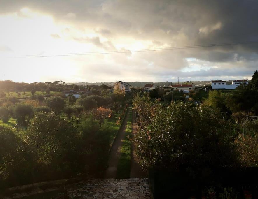 Casa Azul Tomar Prive Vakantiehuis エクステリア 写真