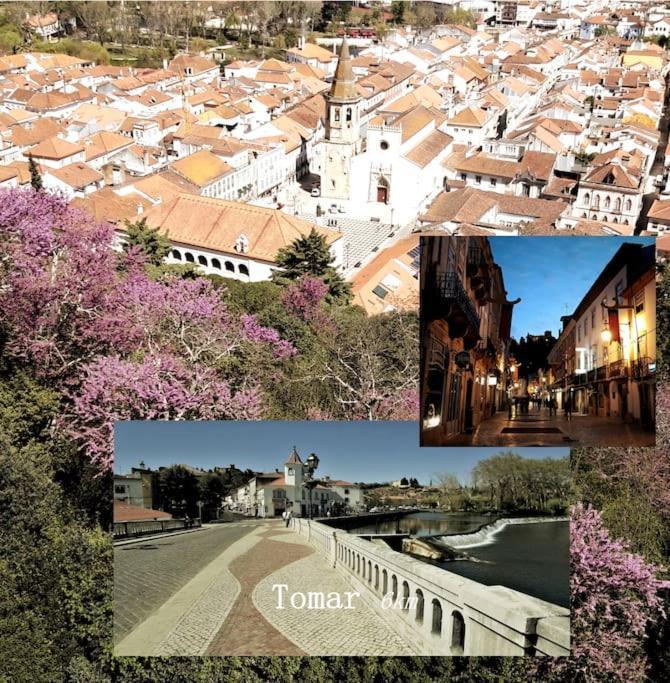 Casa Azul Tomar Prive Vakantiehuis エクステリア 写真