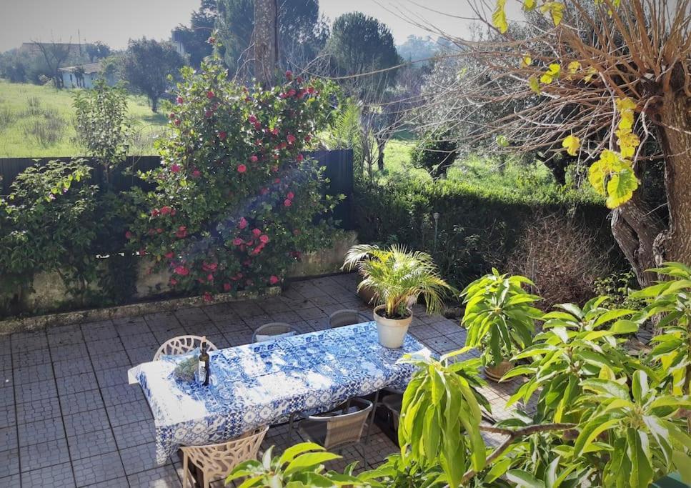 Casa Azul Tomar Prive Vakantiehuis エクステリア 写真